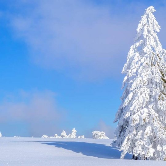 Winterurlaub im Harz